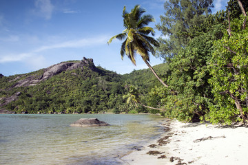 Tropical Island