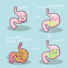 stage of cartoon stomach