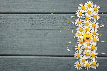 Obraz premium Daisies on the table.