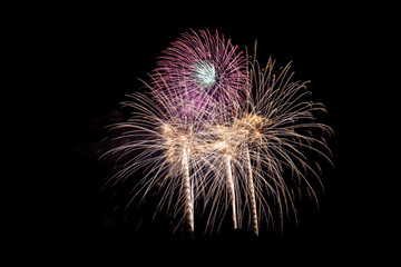 Obraz premium Celebration fireworks up the night sky.