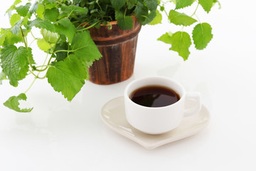 コーヒータイム