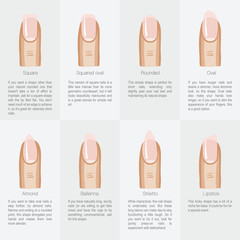 Set of different shapes of nails - 101603319