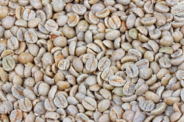 Raw coffee beans