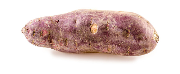 Macro of purple sweet potato isolated on white