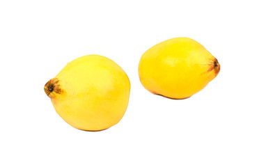 Two fruit quince