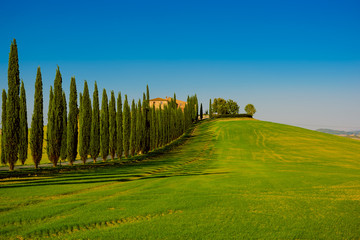 Fototapety  Willa w Toskanii z cyprysową drogą i błękitnym niebem, idylliczny sezonowy krajobraz natura hipster tło