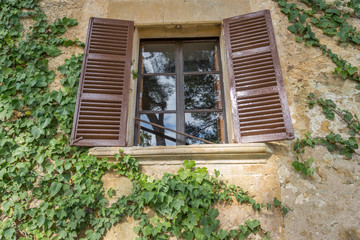 Fototapeta na wymiar Old wooden window overgrown with ivy