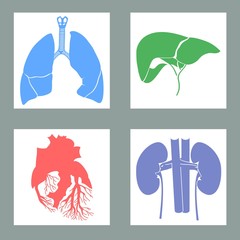 Set of human organs illustrations