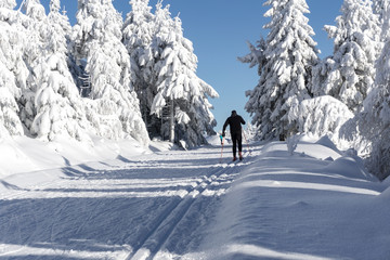 Winter road in mountains. Male skier on groomed ski trails for cross-country. Trees covered with fresh snow in sunny day in  Jizera Mountains, Jakuszyce, Poland, Europe. 