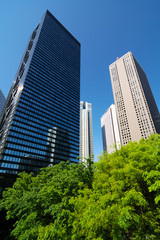 Fototapeta premium 新宿の高層ビル