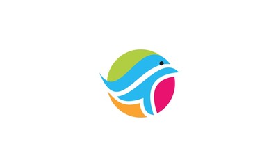  dolphin logo