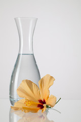 The vase with clean water and hibiskus flower © Radomir Rezny