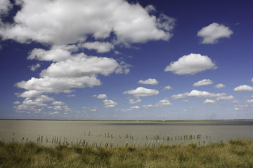Fototapeta premium Cauce del bajo Guadalquivir