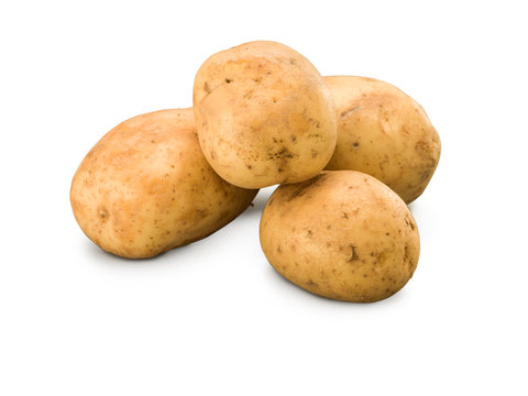 Organic Washed Bakers Potatoes