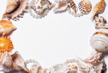 Still life  seashells on a white background. Empty blank framed seashells