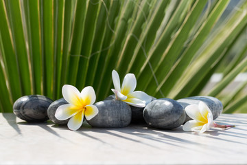 Obraz na płótnie Canvas Plumeria flower and stones on palm background