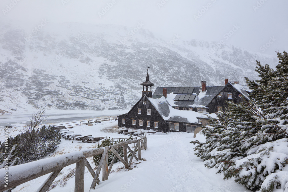 Wall mural Winter snowy background