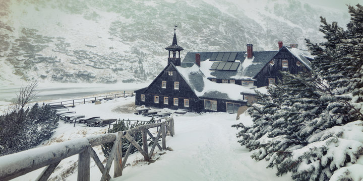 Winter snowy background