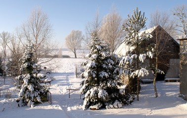 krajobraz zimowy 