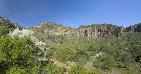 Fototapeta na wymiar Gran Canaria, Caldera de Bandama and Pico de Bandama