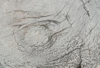 Close up dirty wood background texture