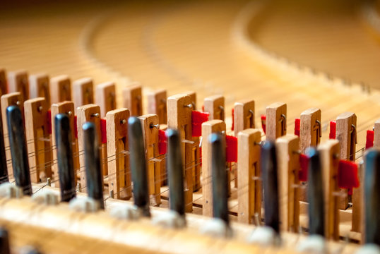 Harpsichord from the inside