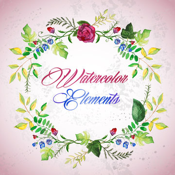 watercolor floral elements set - vector illustration