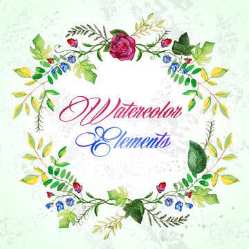 watercolor floral elements set - vector illustration