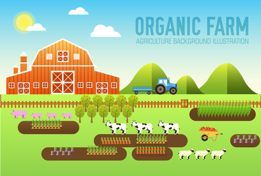 Flat farm in village set sprites and tile sets. instruments, flowers, vegetables, fruits, hay, farm building, animals, tractor, tools, clothing. Vector illustrations design banners concept