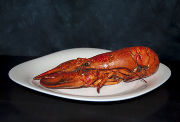 Lobster