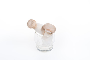 Mushroom in a cup on white background