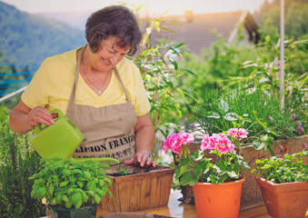 senior woman watering plants in the garden/gardening 06