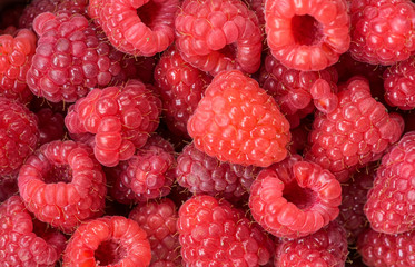Himbeeren