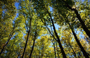 Fototapeta premium Pictured Rocks National Lakeshore