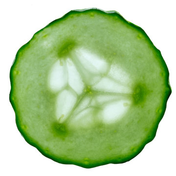 transparent cucumber