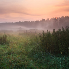 early morning rural landscape