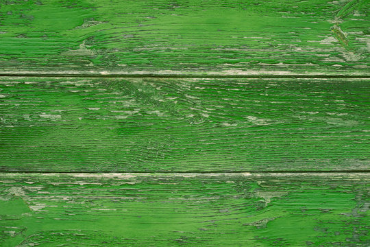 Green Wooden Texture