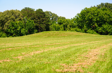 Emerald Mound