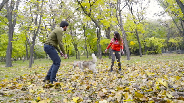 man woman and a husky dog playing in the fallen leaves in the park