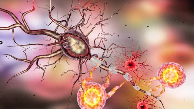 Supportive tissue of the nervous system. Neuron structure. Neuron, astrocyte (glial cell), oligodendrocytes, axon. 3D animation