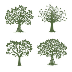 Collection of Green Trees. Vector Illustration.