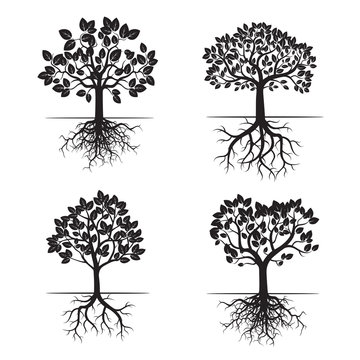 Collection of Black Trees and Roots. Vector Illustration.