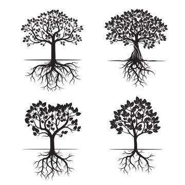 Collection of Black Trees and Roots. Vector Illustration.