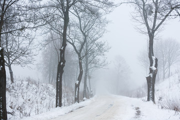 The winter road