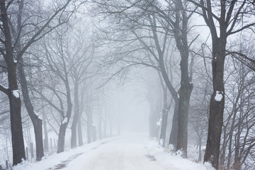 The winter road