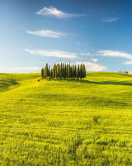 Tuscany at spring