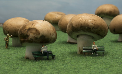 little people puppets sit on mushrooms in forest