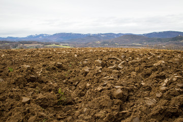 Ploughed agriculture field