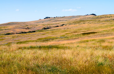 Fototapeta premium Rosebud Battlefield State Park