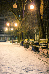 Fototapeta na wymiar View of alley and benches through snowing, night shot